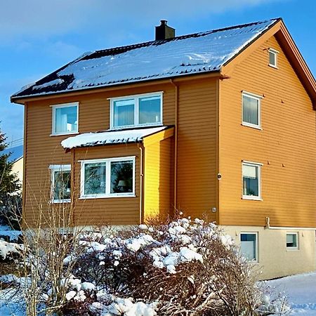 Nonstinden View Lofoten Ballstad Ngoại thất bức ảnh